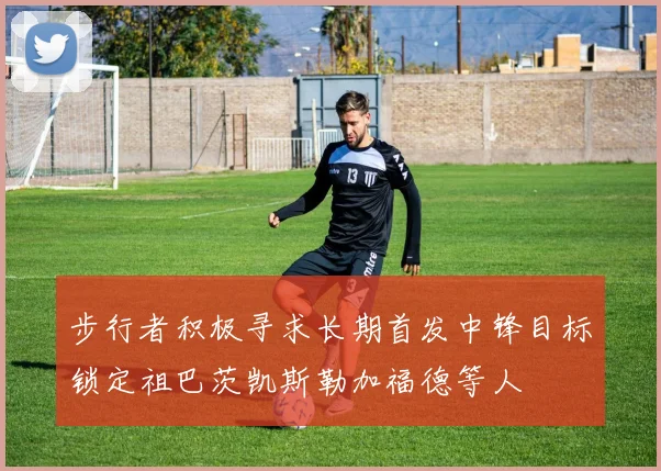步行者积极寻求长期首发中锋目标锁定祖巴茨凯斯勒加福德等人