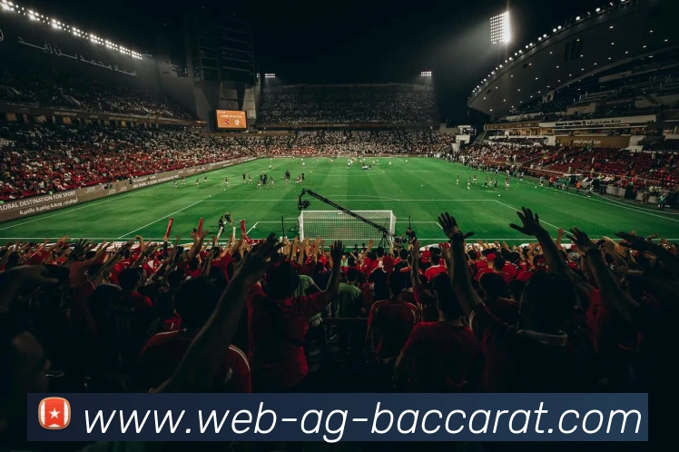 AG百家乐APP 封面图